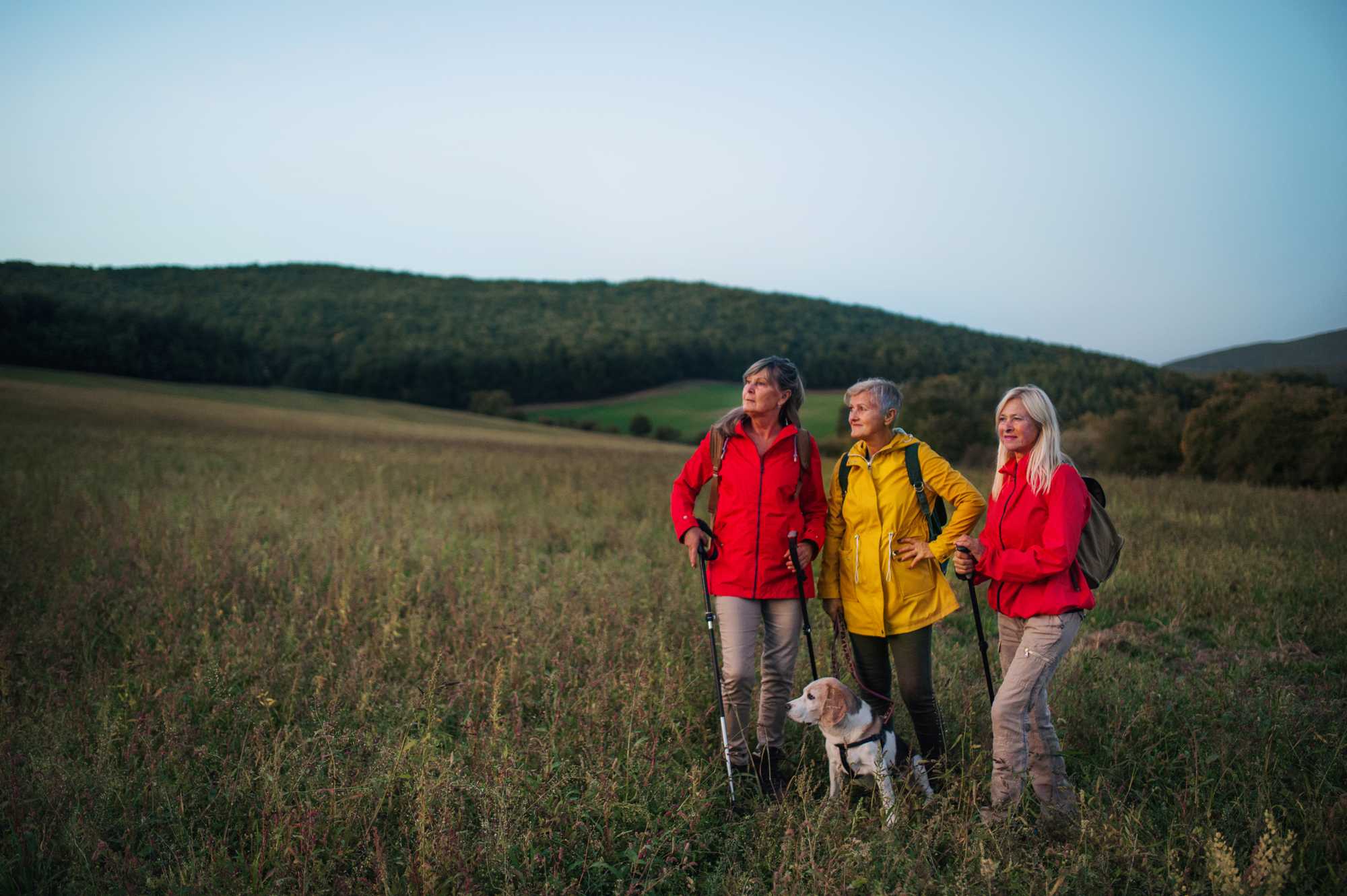 Three friends on a hike with a dog