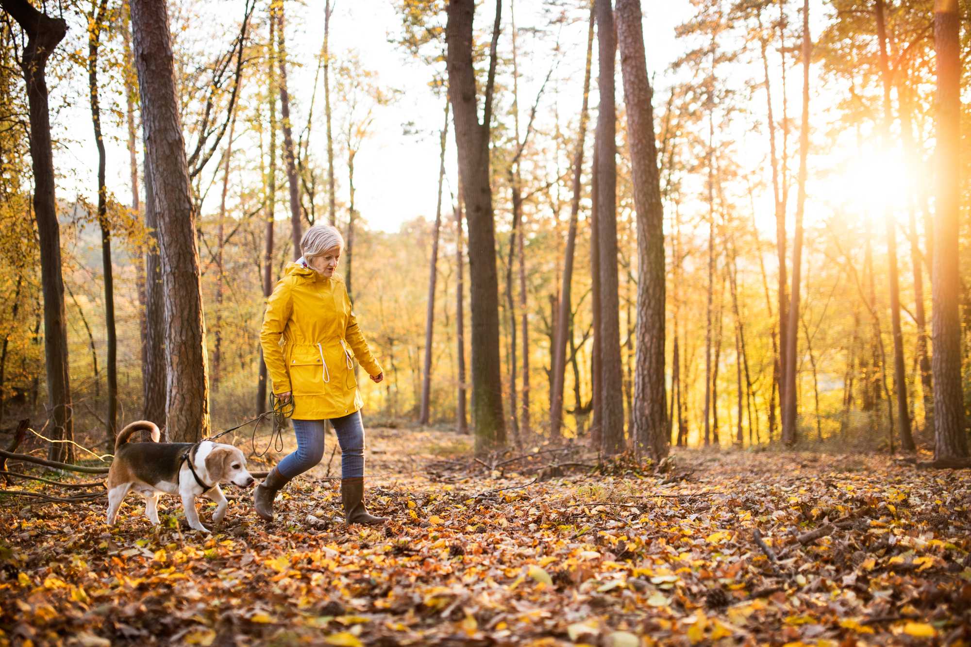 Woman walking her dog in the woods