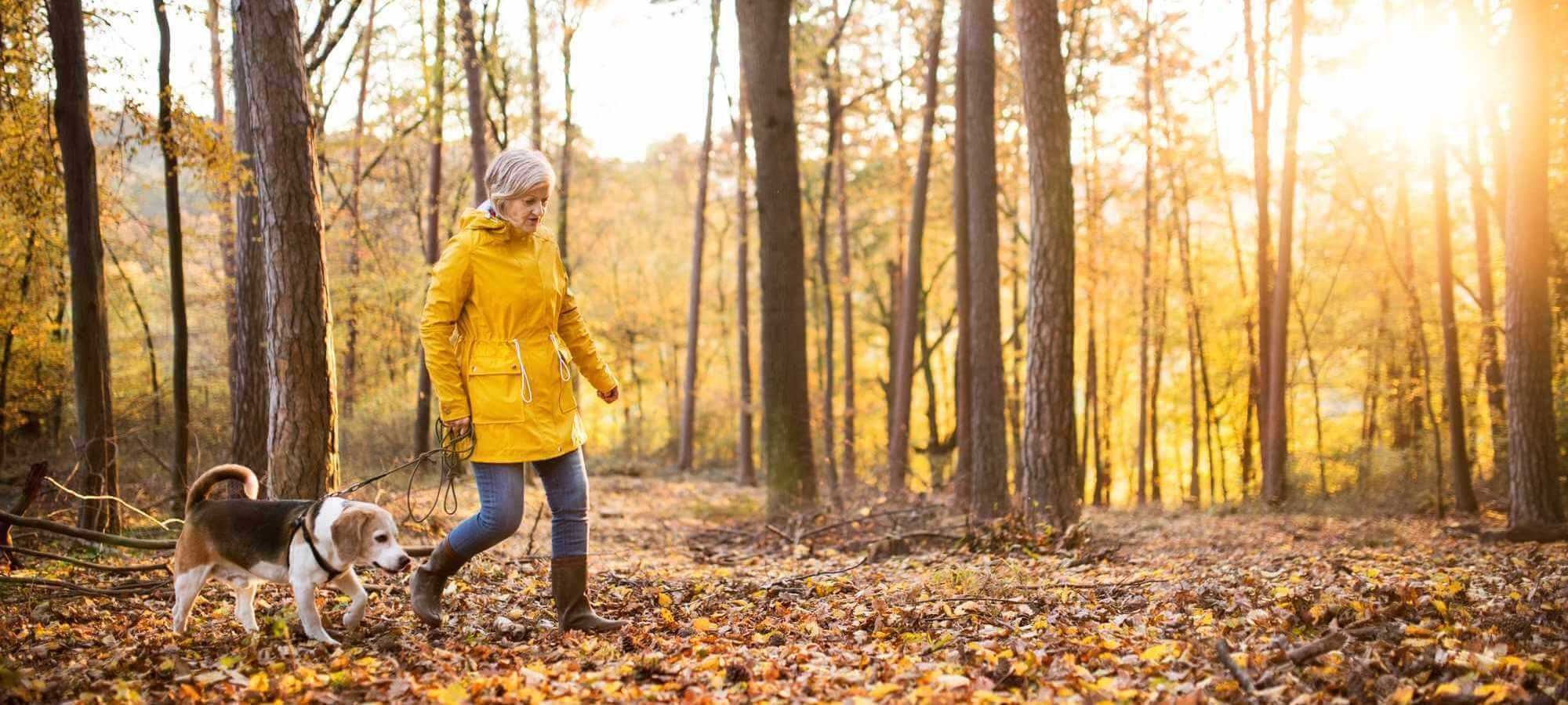 Woman walking her dog in the woods